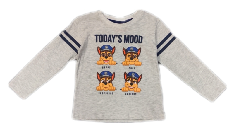 PAW Patrol Langarmshirt für Jungen in grau "Today´s Mood"